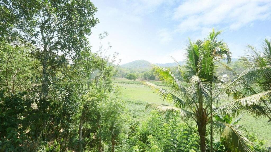 Hill Green Home Stay テッカディ エクステリア 写真
